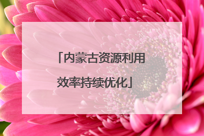 内蒙古资源利用效率持续优化