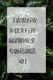 农发行安乡县支行开展消防安全专题培训活动