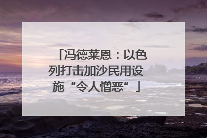 冯德莱恩：以色列打击加沙民用设施“令人憎恶”