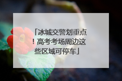 冰城交警划重点！高考考场周边这些区域可停车