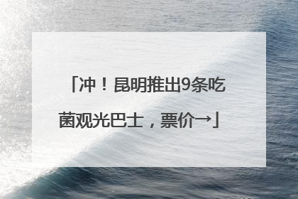 冲！昆明推出9条吃菌观光巴士，票价→