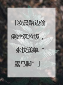 凌晨路边偷倒建筑垃圾，一张快递单“露马脚”