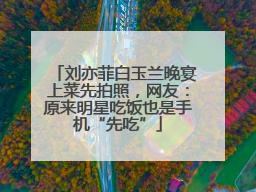 刘亦菲白玉兰晚宴上菜先拍照，网友：原来明星吃饭也是手机“先吃”