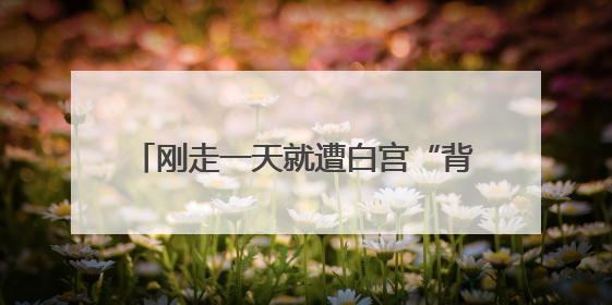 刚走一天就遭白宫“背刺”，马斯克：很失望