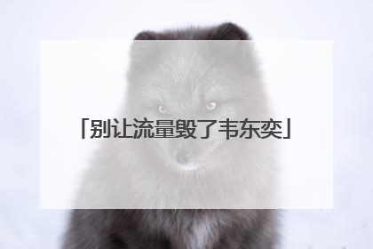 别让流量毁了韦东奕