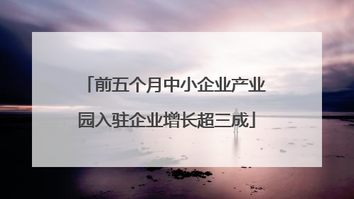 前五个月中小企业产业园入驻企业增长超三成