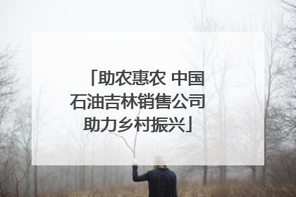 助农惠农 中国石油吉林销售公司助力乡村振兴