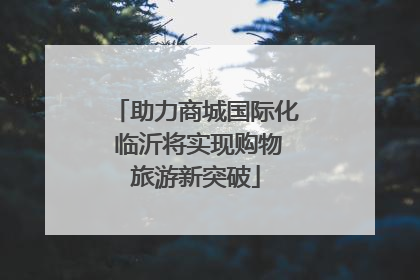 助力商城国际化 临沂将实现购物旅游新突破