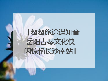 匆匆旅途遇知音 岳阳古琴文化快闪惊艳长沙南站