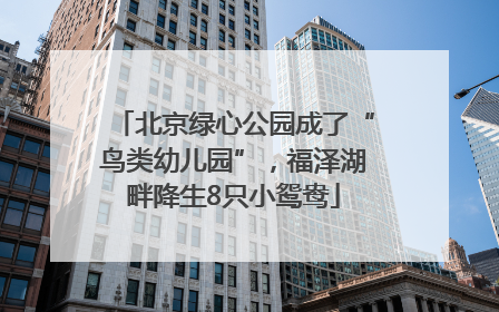 北京绿心公园成了“鸟类幼儿园”，福泽湖畔降生8只小鸳鸯