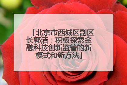 北京市西城区副区长郭洁：积极探索金融科技创新监管的新模式和新方法