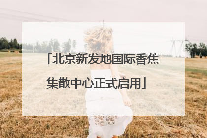 北京新发地国际香蕉集散中心正式启用