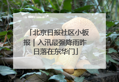 北京日报社区小板报｜入汛最强降雨昨日落在东华门