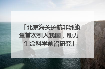 北京海关护航非洲鳉鱼首次引入我国，助力生命科学前沿研究
