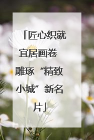 匠心织就宜居画卷 雕琢“精致小城”新名片