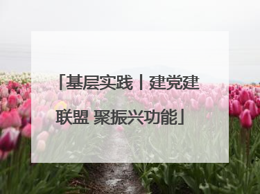 基层实践丨建党建联盟 聚振兴功能