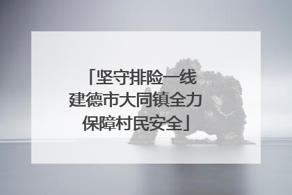 坚守排险一线 建德市大同镇全力保障村民安全