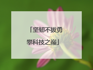 坚韧不拔勇攀科技之巅