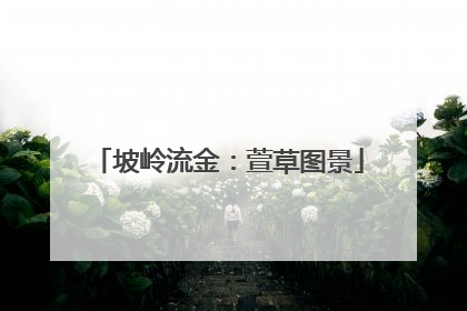 坡岭流金：萱草图景
