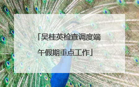 吴桂英检查调度端午假期重点工作
