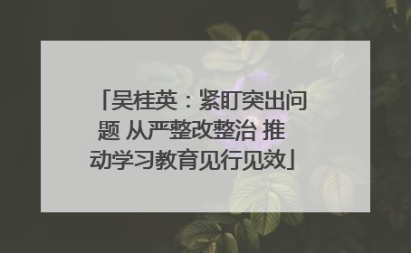 吴桂英：紧盯突出问题 从严整改整治 推动学习教育见行见效