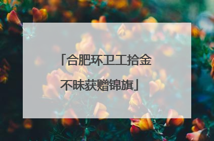 合肥环卫工拾金不昧获赠锦旗