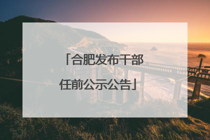 合肥发布干部任前公示公告
