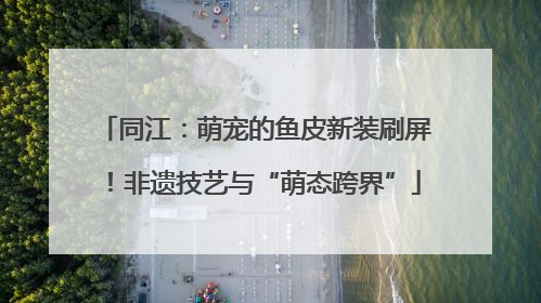 同江：萌宠的鱼皮新装刷屏！非遗技艺与“萌态跨界”