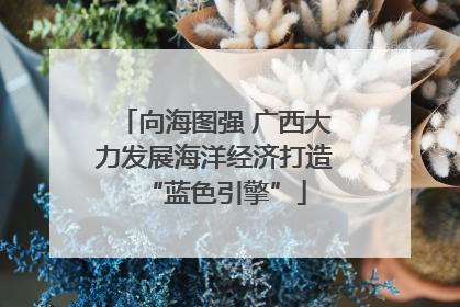 向海图强 广西大力发展海洋经济打造“蓝色引擎”