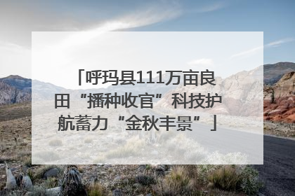 呼玛县111万亩良田“播种收官”科技护航蓄力“金秋丰景”