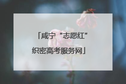 咸宁“志愿红”织密高考服务网