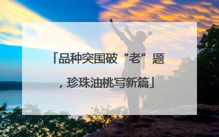 品种突围破“老”题，珍珠油桃写新篇