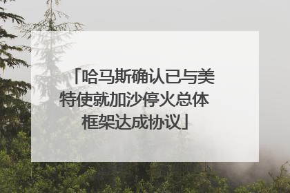 哈马斯确认已与美特使就加沙停火总体框架达成协议