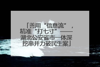 善用“信息流”，精准“打七寸”——湖北公安省市一体深挖串并力破民生案