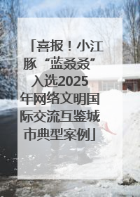 喜报！小江豚“蓝叒叒”入选2025年网络文明国际交流互鉴城市典型案例