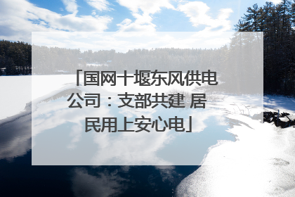 国网十堰东风供电公司：支部共建 居民用上安心电