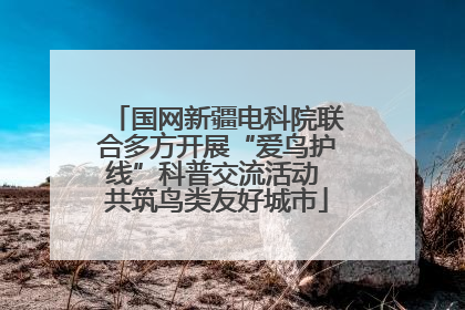 国网新疆电科院联合多方开展“爱鸟护线”科普交流活动 共筑鸟类友好城市