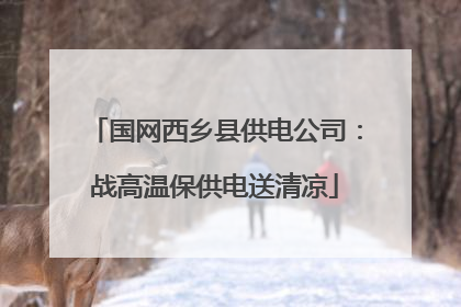 国网西乡县供电公司：战高温保供电送清凉