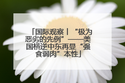 国际观察丨“极为恶劣的先例”——美国横逆中东再显“强食弱肉”本性