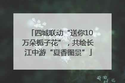 四城联动“送你10万朵栀子花”，共绘长江中游“夏香图景”