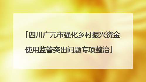 四川广元市强化乡村振兴资金使用监管突出问题专项整治
