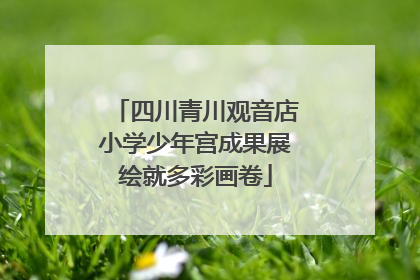 四川青川观音店小学少年宫成果展绘就多彩画卷
