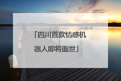 四川首款情感机器人即将面世