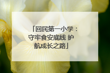 回民第一小学：守牢食安底线 护航成长之路