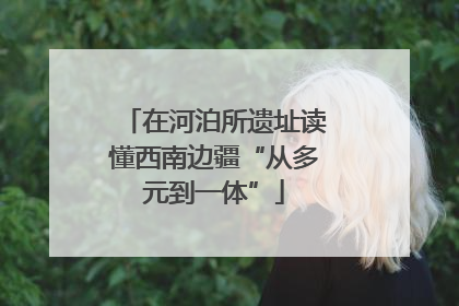 在河泊所遗址读懂西南边疆“从多元到一体”