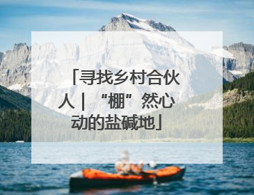 寻找乡村合伙人｜“棚”然心动的盐碱地