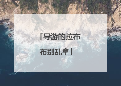 导游的拉布布别乱拿