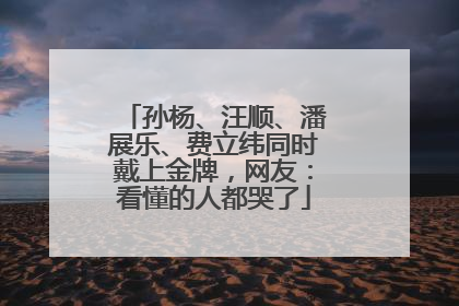 孙杨、汪顺、潘展乐、费立纬同时戴上金牌，网友：看懂的人都哭了