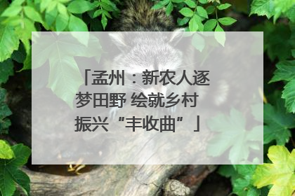 孟州：新农人逐梦田野 绘就乡村振兴“丰收曲”