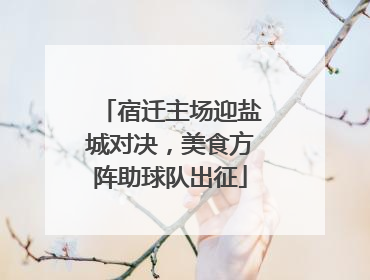 宿迁主场迎盐城对决，美食方阵助球队出征